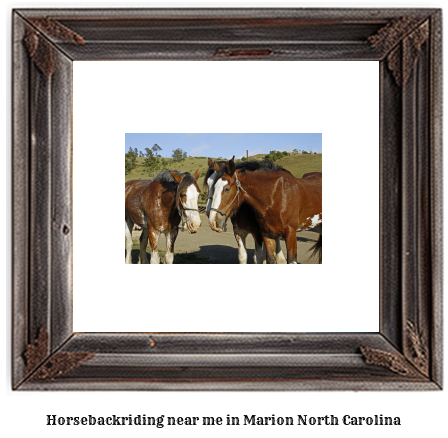 horseback riding near me in Marion, North Carolina